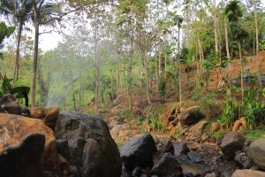 Destinasi Wisata Outbound Terdekat yang Wajib Dikunjungi