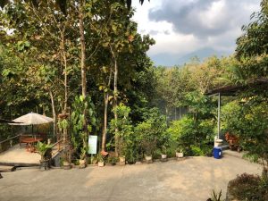 Jombang Kota dengan Destinasi Wisata yang Menakjubkan
