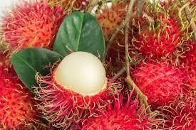 rambutan