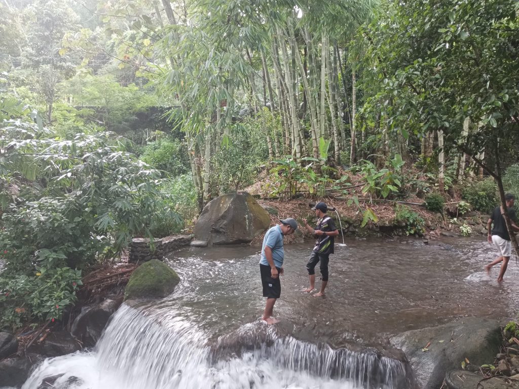 WhatsApp Image 2025-01-15 at 06.39.13